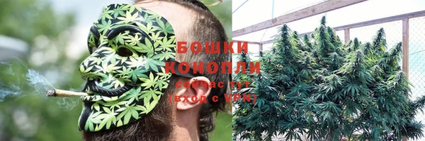 дживик Балахна