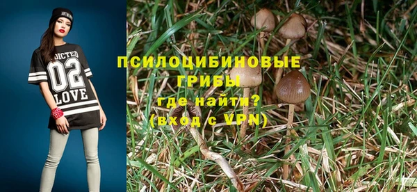 дживик Балахна