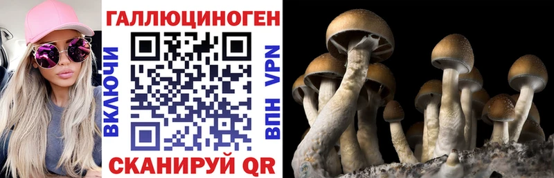 где купить наркоту Уссурийск Псилоцибиновые грибы Magic Shrooms
